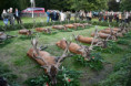 /album/31-rocnik-svatovaclavskeho-troubeni-na-kladske-28-9-2026/dsc-2697-jpg/